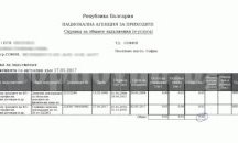 НАП търси от столичанка неплатен данък от 1 стотинка