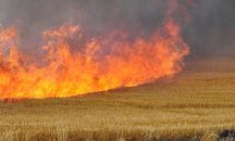 Огнеборците предупреждават: Пожарната опасност през жътвената кампания рязко се увеличава