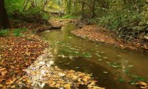 Изследванe на река Батова не откри завишение на манган във водата