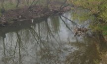 РИОСВ проверява причините за открита мъртва риба в река Шиваровска