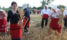 В Бряст зажънаха с традиционен ритуал