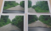Буйна растителност тормози шофьорите по републиканските отсечки в община Никола Козлево