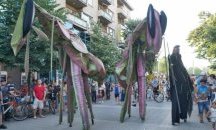 6-метрови богомолки се появиха в Бургас