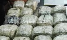 Заловиха 27-годишен албанец, опитал да прекара 20 кг. канабис през Дунав мост