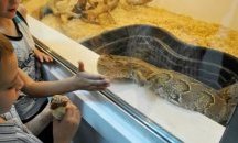 Библиотеката кани шуменци на научно кафе под наслов „В красивия свят на растенията”