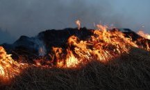 Пловдивски пожарникари: От небрежно изхвърлена угарка в сухата трева започват големи пожари