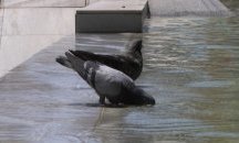 Измериха нов температурен рекорд в Хасково