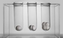 Галерия „София 79” представя изложбата IN VITRO-IN VIVO