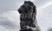 Лъв, а не "многоъгълник" пред НДК
