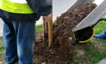 Подхранват над 1000 дървета в София с екологичен мулч