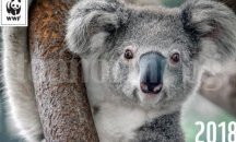 WWF пускат календар за 2018 в подкрепа на дивите животни