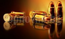 МВР не поддържа електронен регистър за разрешителни на оръжия