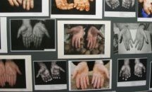 Днес откриха фотографска изложба „Ръцете на професията“
