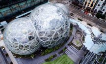 Служители на Amazon работят в тропическа гора (СНИМКИ)