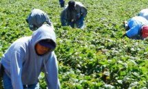 Тече процедура по отнемане на лиценза на фирмата посредник по случая в Корнуол