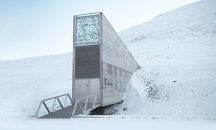 Обновяват световните семена, предвидени в случай на Апокалипсис