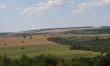Еднодневните трудови договори да се сключват за 4 часа