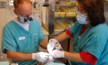 Край на по-ниското заплащане за източноевропейците