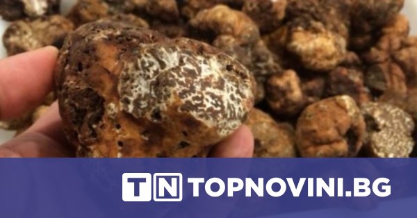 Италианец се опита да изнесе бели трюфели от Турция през България