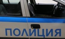 Младеж загина при сблъсък на колата му с диво прасе