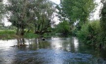 Нивото на река Скът в Мизия спада