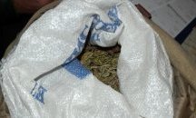 Задържаха двама плевенчани с наркотици в Панагюрище