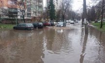 Паднали дървета след бурния вятър и наводнения след проливния дъжд (СНИМКИ)