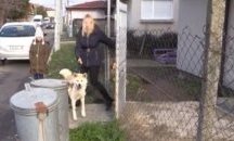 В Бургаски квартал издирват мъж, който трови кучета