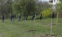 Залесителна акция в Карлово по повод 170-годишнина от рождението на Ботев