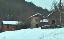 Провериха и животновъдните обекти на собственика на мъртвите коне в Осогово
