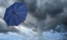 Жълт код за бурен вятър е в сила за 17 области