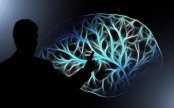 Физическите упражнения спират стареенето на мозъка