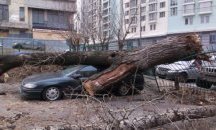 Ураганни ветрове в Москва убиха двама и раниха десетки