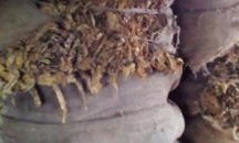 Хисарски полицаи иззеха над 1500 кг безакцизен тютюн