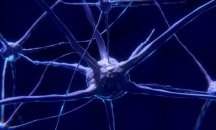 Свръхмодерно генетично изследване предсказва колко ще живеем