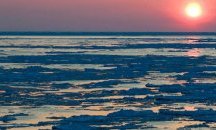 Почти всичкият лед, който покрива Берингово море се е разтопил