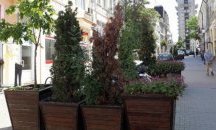 Дръвчета вехнат в центъра на Шумен (СНИМКИ)