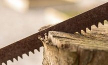 Тежка травма получи дървосекач при работа с трион