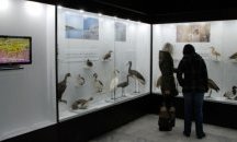 Бургаските музеи ще работят без почивен ден през лято 2018