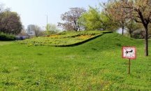 Домашни любимци унищожават парковете в Пловдив