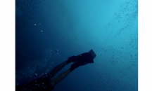 Водолази ще чистят дъното на Черно море на 2-ри юни