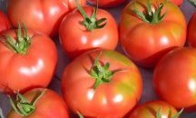 Производители протестират срещу ниските изкупни цени на доматите
