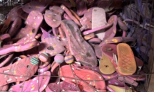 Вредни ли са джапанките?