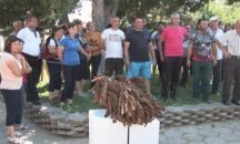 Тютюнопроизводители от Силистренско чакат парите си от осем месеца