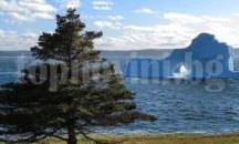 Айсберг-красавец се появи край Нюфаундленд (СНИМКИ)