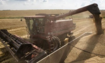 В Ямболска област започва прибирането на реколтата