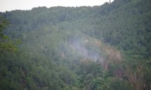 Пожарът край Стара Кресна е овладян