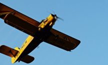 БАБХ започва самолетна ваксинация срещу бяс по дивите животни