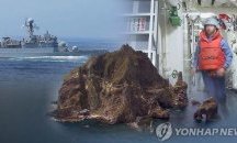 Южна Корея провежда учения за защита от Япония