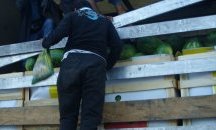 Задържаха нелегални мигранти на ГКПП "Кулата" (СНИМКИ)